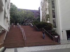 -香港大学