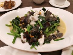 -松花湖水饺(新濠天地店)