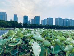 -尚贤河湿地
