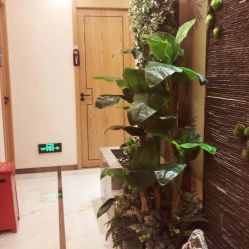 大堂-芳朵美容养生SPA