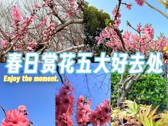-郑州植物园