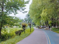 -月湖风景区