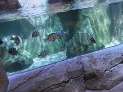 -沈阳海洋探索中心