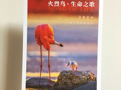 -好利来(武汉新天地店)