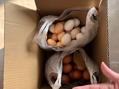 -何庄子阿米玛玛农产品批发市场