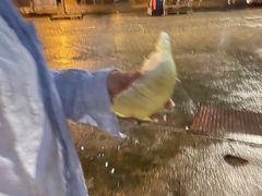-油麻地果栏