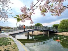 -上海辰山植物园