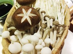 菌菇拼盘-狐狸爱上椰子鸡(滨江星光大道店)