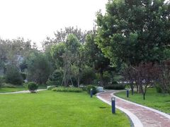 -北京国家会计学院