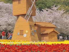 -苏州上方山国家森林公园