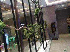 -星河湾温泉洗浴酒店