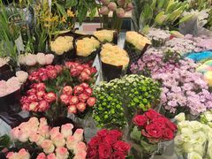 -双季花艺园艺市场(浦东店)