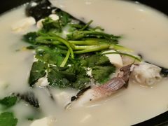-老淳安—伴山伴湖(千岛湖开元度假村店)