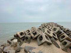 -东疆建设开发纪念公园