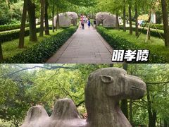 -南京博物院