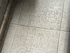 -广州中国大酒店
