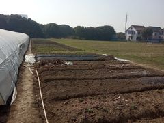 -胜丰草莓采摘园