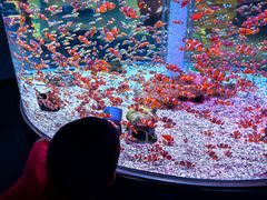 -海合安成都极地海洋公园