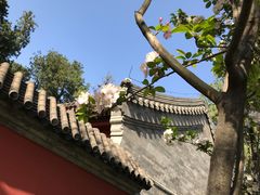 -北京植物园南门售票处