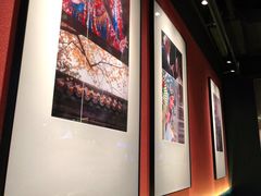 -青年公社烤鸭(蜀山万象汇店)