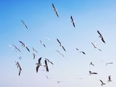 -海云台海滩