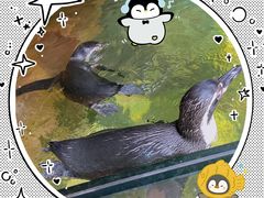 -长鹿旅游休博园