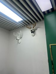 -米路造型MILU STUDIO