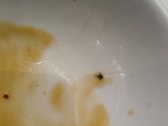 -新仙清汤牛腩(铜锣湾店)