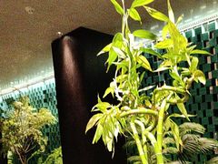 -万蔚·烤鸭