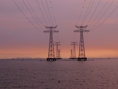 -宝安西湾红树林湿地公园