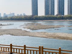 -长白岛森林公园