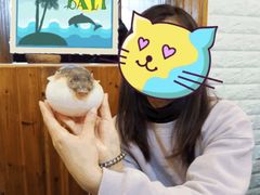 -观桥阁(锦溪店)