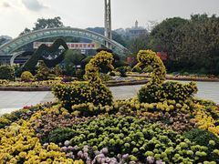 -南山植物园