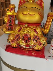 -Dr.林醫生产后修复·配方产康店(南京大厂店)