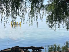 -捞渔河湿地公园
