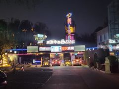 -枫花园汽车电影院(朝阳公园店)