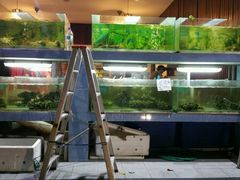 -真浪大家乐海鲜餐馆