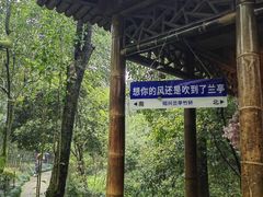 -兰亭风景区