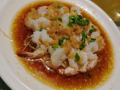 蒜茸金菇蒸开边虾-老广酒楼(樱花店)