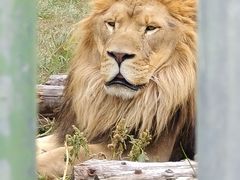 -鄂尔多斯野生动物园