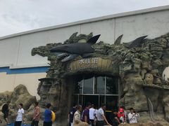 -秦皇岛乐岛海洋王国