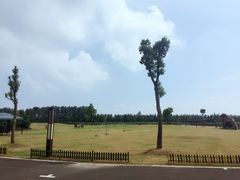 -明珠湖天鹅苑·农家菜馆