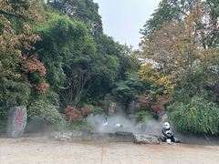 -成都动物园
