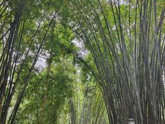 -成都杜甫草堂博物馆