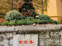 -惠山古镇·寄畅园