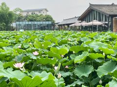-莫催咖啡