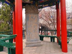 -桃花堤公园