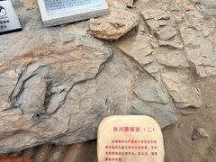 -中国第四纪冰川遗迹陈列馆