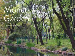 -上海共青森林公园