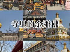 -护国法轮寺